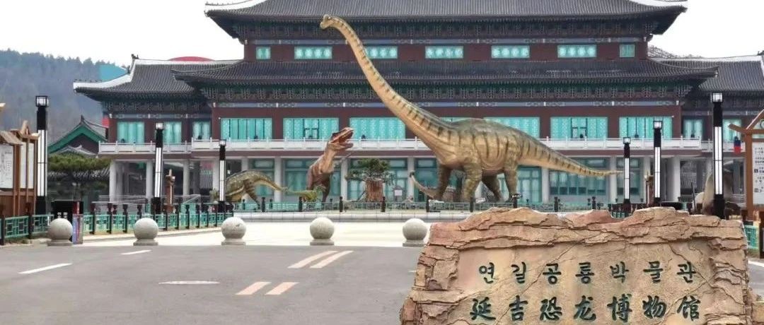 多图直击！延吉重点工程施工现场